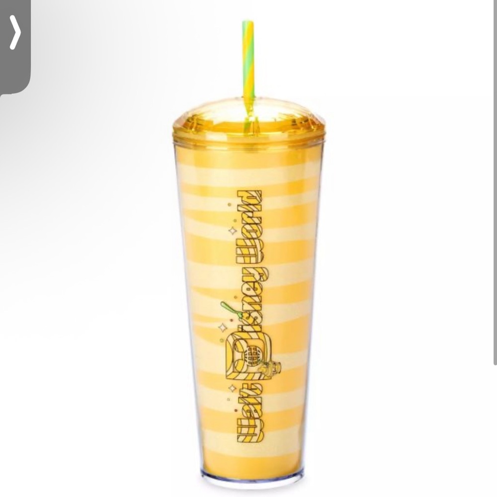 Starbucks Disney World 2024 Cold Tumbler 24 oz